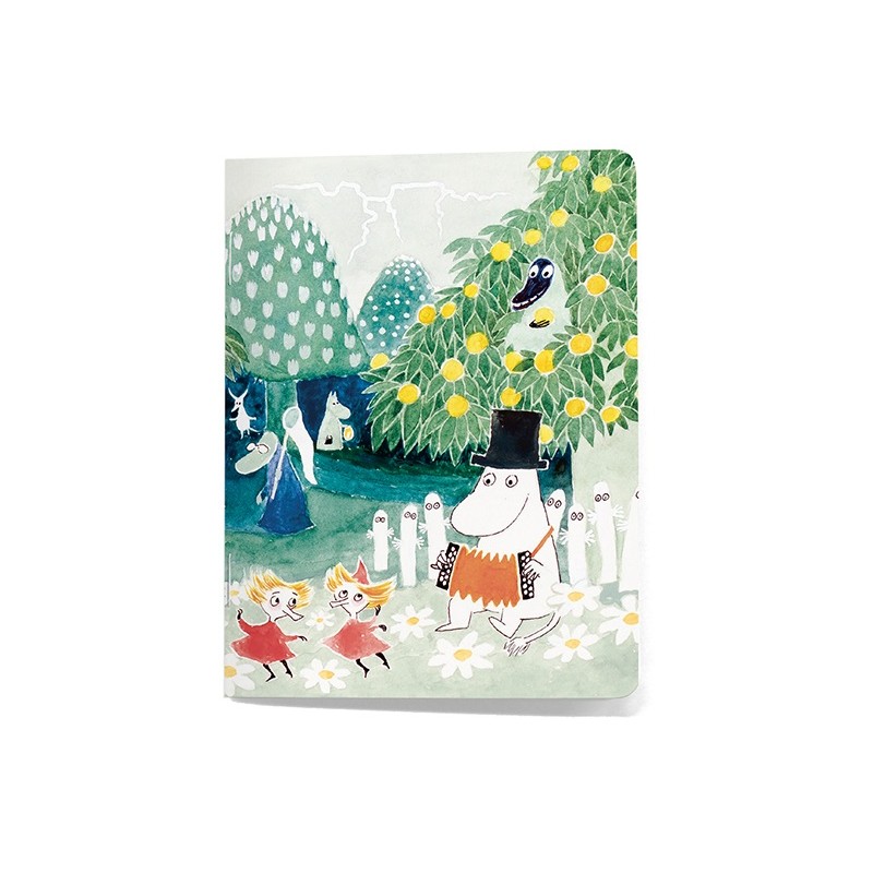 Cahier Moomin, Taikurin Hattu